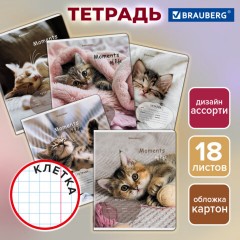 Тетрадь 18 л. BRAUBERG клетка, обложка картон, КОТЯТА, 107292 Тетрадь 18 л. BRAUBERG клетка, обложка картон, КОТЯТА, 107292 - фото 9