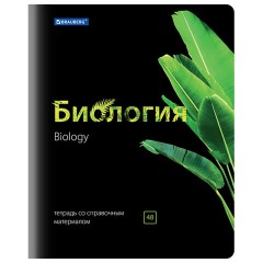 Тетради предметные, КОМПЛЕКТ 10 ПРЕДМЕТОВ, 48 л., глянцевый лак, BRAUBERG, "BLACK & BRIGHT", 403560 - фото 5