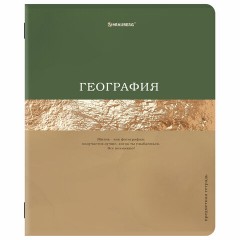 Тетради предметные, КОМПЛЕКТ 12 ПРЕДМЕТОВ, 48 л., матовая ламинация, фольга, BRAUBERG "GOLDY", 405178 Тетради предметные, КОМПЛЕКТ 12 ПРЕДМЕТОВ, 48 л., матовая ламинация, фольга, BRAUBERG "GOLDY", 405178 - фото 8