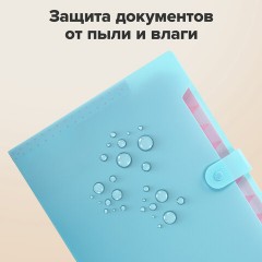 Папка-органайзер на кнопке 12 отделений, BRAUBERG "Extra", А4, голубая с розовым, 271932 Папка-органайзер на кнопке 12 отделений, BRAUBERG "Extra", А4, голубая с розовым, 271932 - фото 13