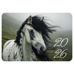 Календарь карманный на 2026г, BRAUBERG, 64х93мм, АССОРТИ 20 видов, 117303 Календарь карманный на 2026г, BRAUBERG, 64х93мм, АССОРТИ 20 видов, 117303 - фото 7