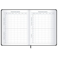 Дневник 1-11 класс 48 л., твердый, BRAUBERG, матовая ламинация, резинка, закладка-ляссе, с подсказом, "Элементы", 107242 - фото 10