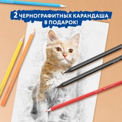 Карандаши цветные BRAUBERG PREMIUM 24 цвета + 2 чернографитных карандаша, трехгранные, грифель 3 мм, 181937 Карандаши цветные BRAUBERG PREMIUM 24 цвета + 2 чернографитных карандаша, трехгранные, грифель 3 мм, 181937 - фото 11