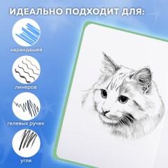 Скетчбук, белая бумага 80 г/м2, 145х203 мм, 80 л., резинка, твердый, FUNSTER (ФАНСТЕР), Гусь "Че смотришь?", 116891 - фото 5