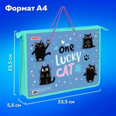 Папка на молнии с ручками ПИФАГОР А4, 1 отделение, пластик, ручки-шнурок, "Funny cats", 273353 - фото 9