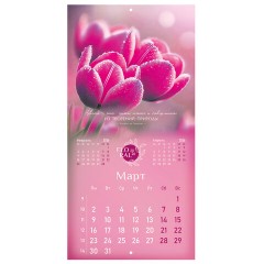 Календарь настенный перекидной 2026 г., BRAUBERG, 12 листов, 28,5х28,5 см, "Floral", 116939 - фото 6