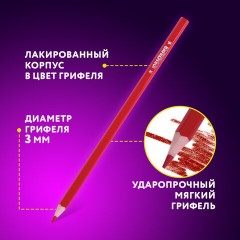 Карандаши цветные ЮНЛАНДИЯ "ДОМИКИ", 12 цветов, шестигранные, грифель 3 мм, 181836 - фото 9