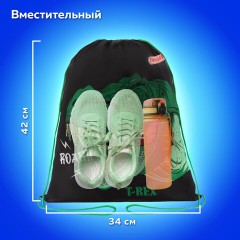 Мешок для обуви ПИФАГОР, 1 отделение, 42х34 см, "Dino roar", 272387 Мешок для обуви ПИФАГОР, 1 отделение, 42х34 см, "Dino roar", 272387 - фото 10