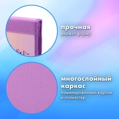 Папка на молнии BRAUBERG А4 с ручкой, с органайзером, 1 отделение, "Cheerful", 271448 Папка на молнии BRAUBERG А4 с ручкой, с органайзером, 1 отделение, "Cheerful", 271448 - фото 9
