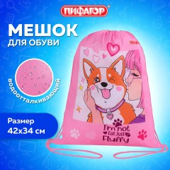 Мешок для обуви ПИФАГОР, 1 отделение, 42х34 см, "Fluffy akita", 272385 Мешок для обуви ПИФАГОР, 1 отделение, 42х34 см, "Fluffy akita", 272385 - фото 7