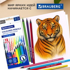 Карандаши цветные BRAUBERG, 12 цветов, шестигранные, грифель 3,3 мм, черное дерево, 181856 - фото 11