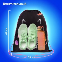 Мешок для обуви ПИФАГОР, 1 отделение, 42х34 см, "Dark kitten", 273419 Мешок для обуви ПИФАГОР, 1 отделение, 42х34 см, "Dark kitten", 273419 - фото 10