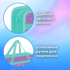 Папка на молнии с ручками BRAUBERG А4, 1 отделение, пластик, 80 мм, "Funny kittens", 273368 Папка на молнии с ручками BRAUBERG А4, 1 отделение, пластик, 80 мм, "Funny kittens", 273368 - фото 9