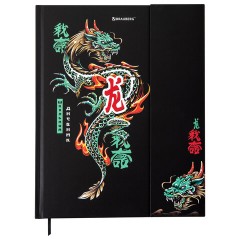 Дневник 1-11 класс 48 л., твердый, BRAUBERG, матовая ламинация, магнитный клапан, закладка-ляссе, с подсказом, "Дракон", 107245