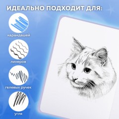 Скетчбук, белая бумага 120 г/м2, 145х203 мм, 80 л., резинка, твердый, FUNSTER (ФАНСТЕР), "Кот Тыгыдык", 116897 - фото 5