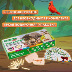 Набор для раскопок "Дикие животные", 12 видов, карточки, инструменты, BRAUBERG KIDS, 665128 Набор для раскопок "Дикие животные", 12 видов, карточки, инструменты, BRAUBERG KIDS, 665128 - фото 17