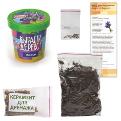 Набор для выращивания растений ВЫРАСТИ ДЕРЕВО! "Лаванда" (банка, грунт, семена), zk-030 Набор для выращивания растений ВЫРАСТИ ДЕРЕВО! "Лаванда" (банка, грунт, семена), zk-030 - фото 2