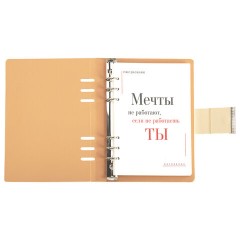 Ежедневник на кольцах в наборе с ручкой А5, 165x229 мм, BRAUBERG "Lux", под кожу, 100 листов, бежевый, 116859 - фото 9