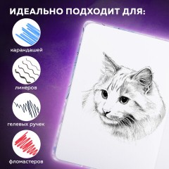 Скетчбук, белая бумага 80 г/м2, 145х203 мм, 80 л., резинка, твердый, BRAUBERG ART DEBUT "Аниме", 114578 - фото 11