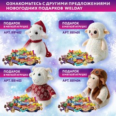 Подарок новогодний "МОРОЗ", "Мягкая игрушка-символ 2027 года", НАБОР конфет 800 г, WELDAY (ВЭЛДЭЙ), 881407 - фото 10