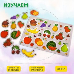 Рамка-вкладыш деревянная развивающая "Фрукты и ягоды", 22х30 см, BRAUBERG KIDS, 665254 - фото 11