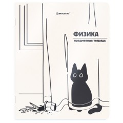 Тетради предметные, КОМПЛЕКТ 12 ПРЕДМЕТОВ 48 л., пластиковая обложка, BRAUBERG "КОТ-НЕПОСЕДА", 405542 - фото 12