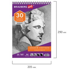 Скетчбук, белая бумага 160 г/м2, 205х290 мм, 30 л., гребень, жёсткая подложка, BRAUBERG ART DEBUT, 110985 - фото 2