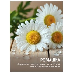 Мыло-крем туалетное 90 г, ЛЕСНАЯ ПОЛЯНКА "Ромашка", натуральная основа, 1100-2 - фото 4