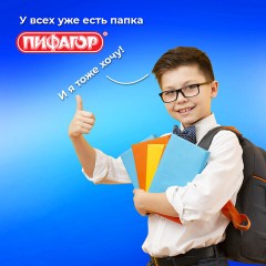 Папка для тетрадей ПИФАГОР А4, 1 отделение, картон/пластик, на молнии, "Sharp sword", 273342 - фото 10
