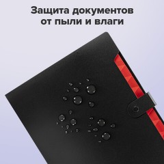 Папка-органайзер на кнопке 12 отделений, BRAUBERG "Extra", А4, черная с красным, 271934 Папка-органайзер на кнопке 12 отделений, BRAUBERG "Extra", А4, черная с красным, 271934 - фото 13