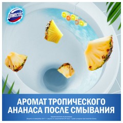 Блок туалетный подвесной твердый 2х50 г + 3х50 г, ДОМЕСТОС "Свежесть цитруса и цветочный букет" - фото 5