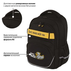 Рюкзак BRAUBERG MOTION, 2 отделения, 3 кармана, "Angry duck", СВЕТЯЩИЙСЯ, 41х28х17 см, 272031 Рюкзак BRAUBERG MOTION, 2 отделения, 3 кармана, "Angry duck", СВЕТЯЩИЙСЯ, 41х28х17 см, 272031 - фото 13
