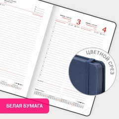 Ежедневник датированный 2026, А5, 138х213 мм, BRAUBERG "Plain", под кожу, резинка, держатель для ручки, синий, 117506 - фото 16
