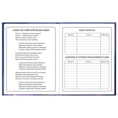 Дневник 1-4 класс 48 л., твердый, ЮНЛАНДИЯ, глянцевая ламинация, с подсказом, "Принцесса", 107582 - фото 6