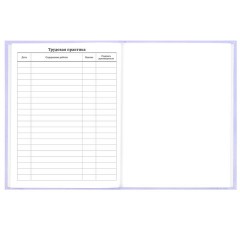 Дневник 5-11 класс 48 л., твердый, BRAUBERG, матовая ламинация, с подсказом, "Классика", 107610 - фото 16