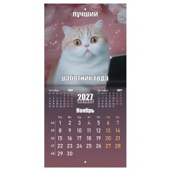 Календарь настенный перекидной 2027 г., BRAUBERG, 12 листов, 21,4х42,8 см, МИНИ, "Vibe meme", 118438 - фото 14