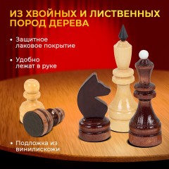 Шахматы турнирные, деревянные, лакированные, глянцевые, доска 40*40 см, ЗОЛОТАЯ СКАЗКА, 665363 - фото 21
