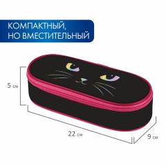 Пенал-футляр BRAUBERG, 1 отделение, органайзер, полиэстер, 22x9x5 см, "Cat eye", 271585 Пенал-футляр BRAUBERG, 1 отделение, органайзер, полиэстер, 22x9x5 см, "Cat eye", 271585 - фото 9