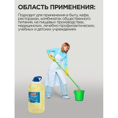 Универсальное чистящее средство ПРОГРЕСС 5л ПЭТ Бутылка - фото 6