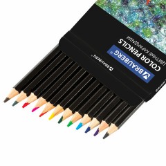 Карандаши цветные BRAUBERG "Artist line", 12 цветов, черный корпус, шестигранные, грифель 3 мм, натуральное дерево, 180539 Карандаши цветные BRAUBERG "Artist line", 12 цветов, черный корпус, шестигранные, грифель 3 мм, натуральное дерево, 180539 - фото 4