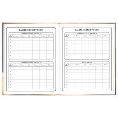 Дневник 1-4 класс 48 л., твердый, ЮНЛАНДИЯ, глянцевая ламинация, с подсказом, "Хомячок", 107579 - фото 8