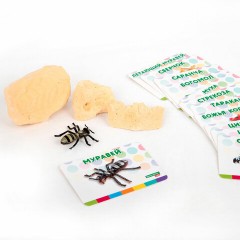 Набор для раскопок "Насекомые", 12 видов, карточки, инструменты, BRAUBERG KIDS, 665127 Набор для раскопок "Насекомые", 12 видов, карточки, инструменты, BRAUBERG KIDS, 665127 - фото 8