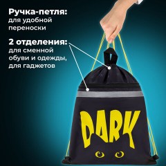 Мешок для обуви BRAUBERG, с петлей, светоотражающая полоса, 2 отделения, 46х36 см, Dark cat, 272394 Мешок для обуви BRAUBERG, с петлей, светоотражающая полоса, 2 отделения, 46х36 см, Dark cat, 272394 - фото 11