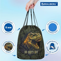 Мешок для обуви BRAUBERG PREMIUM, карман, подкладка, светоотражайка, 43х33 см, Dino attack, 272424 Мешок для обуви BRAUBERG PREMIUM, карман, подкладка, светоотражайка, 43х33 см, Dino attack, 272424 - фото 12