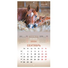 Календарь настенный перекидной 2026 г., BRAUBERG, 12 листов, 28,5х28,5 см, "Благородные лошади", 116932 - фото 12