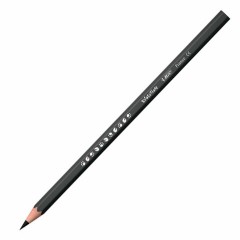 Карандаши цветные BIC "Kids ECOlutions Evolution", 18 цветов, пластиковые, заточенные, европодвес, 937513 Карандаши цветные BIC "Kids ECOlutions Evolution", 18 цветов, пластиковые, заточенные, европодвес, 937513 - фото 8