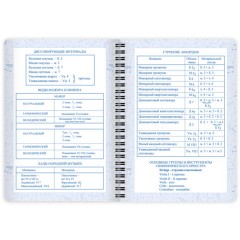 Дневник для музыкальной школы 48 листов, гребень, пластиковая обложка, картон, BRAUBERG, "МИКС", 107519 - фото 15