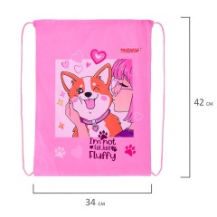Мешок для обуви ПИФАГОР, 1 отделение, 42х34 см, "Fluffy akita", 272385 Мешок для обуви ПИФАГОР, 1 отделение, 42х34 см, "Fluffy akita", 272385 - фото 5