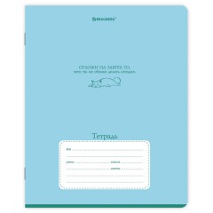 Тетрадь 18 л. BRAUBERG клетка, обложка картон, PHRASES, 107784 - фото 5