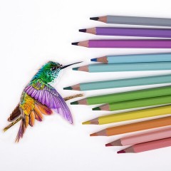 Карандаши цветные пастельные CARIOCA "Pastel", 12 цветов, ПВХ-чехол, шестигранные, грифель 3,3 мм, натуральное дерево, 43034 Карандаши цветные пастельные CARIOCA "Pastel", 12 цветов, ПВХ-чехол, шестигранные, грифель 3,3 мм, натуральное дерево, 43034 - фото 5